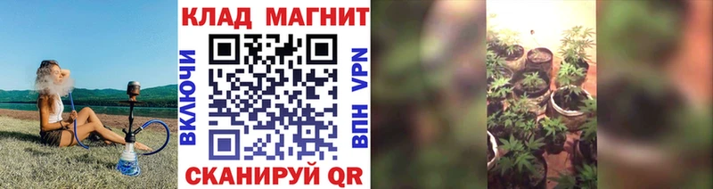 Сколько стоит Старая Русса ГАШ  АМФ  СК  Меф  КОКАИН  МАРИХУАНА 