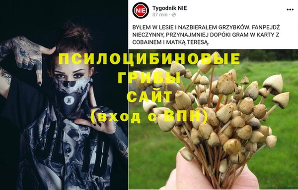 синтетический гашиш Осинники