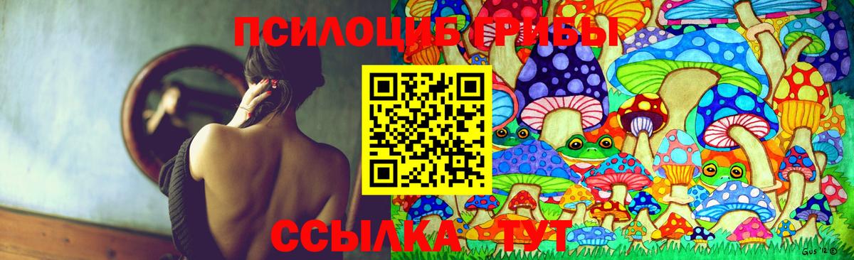 где найти наркотики  Псилоцибиновые грибы мицелий  Старая Русса  Вход с VPN  Галлюциногенные грибы Psilocybe 