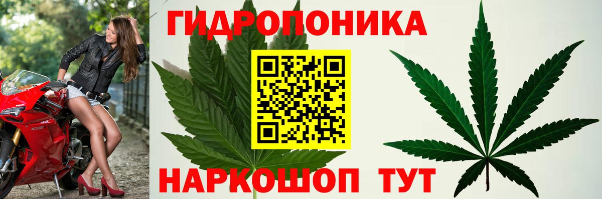 Канабис AK-47 Старая Русса